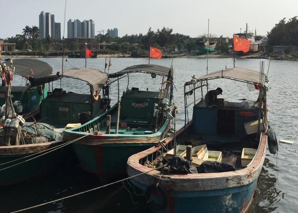 Ngư dân Trung Quốc được trả 20.000 USD cho mỗi lần ra khơi?