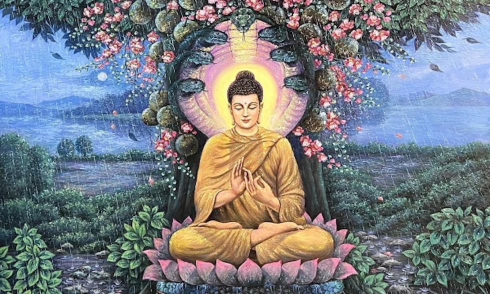 Tình thương của Đức Phật
