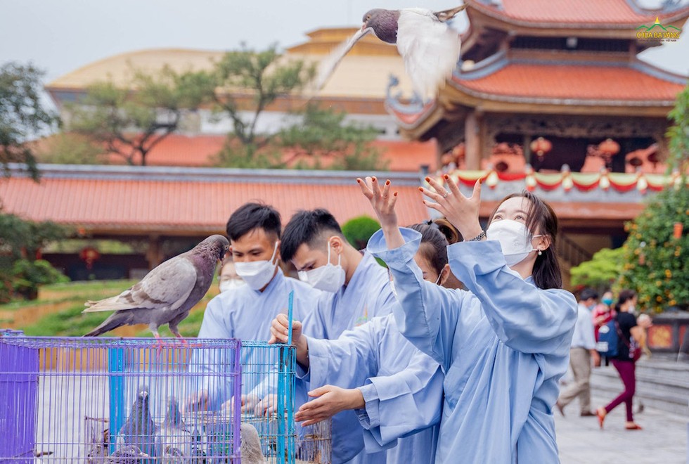 Phật tử thả chim phóng sinh tại một buổi lễ diễn ra tại chùa Ba Vàng, tỉnh Quảng Ninh. (Ảnh minh hoạ).